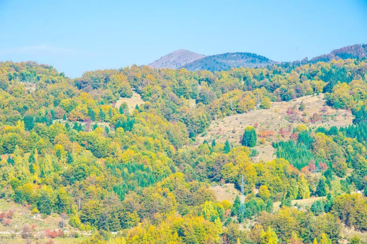 Kophill L36 Milmari Apartman Kopaonik Kültér fotó